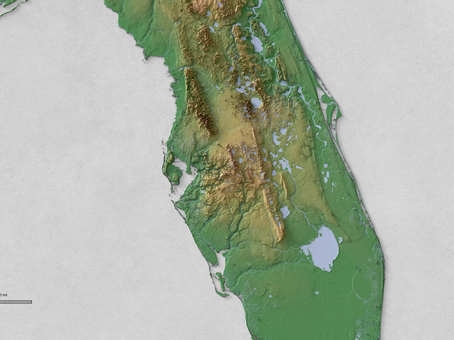 Florida - Shaded Relief Map (24x18")