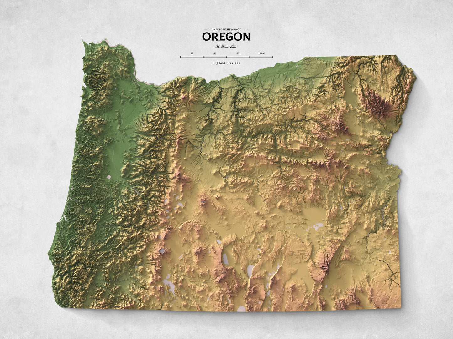 Oregon - Shaded Relief Map (24x18")