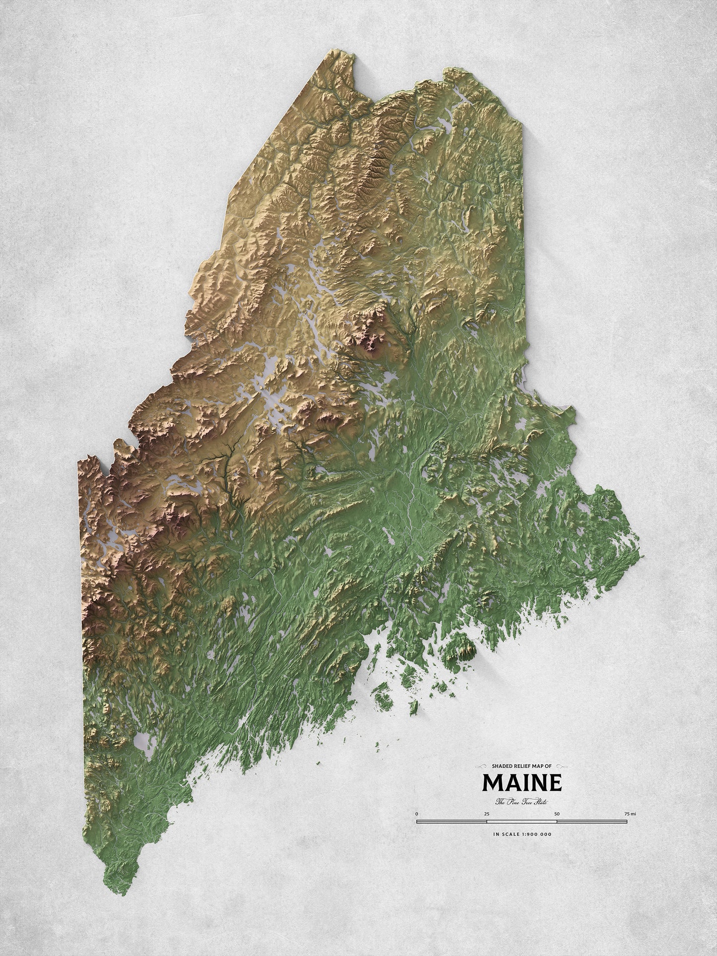 Maine - Shaded Relief Map (18x24")