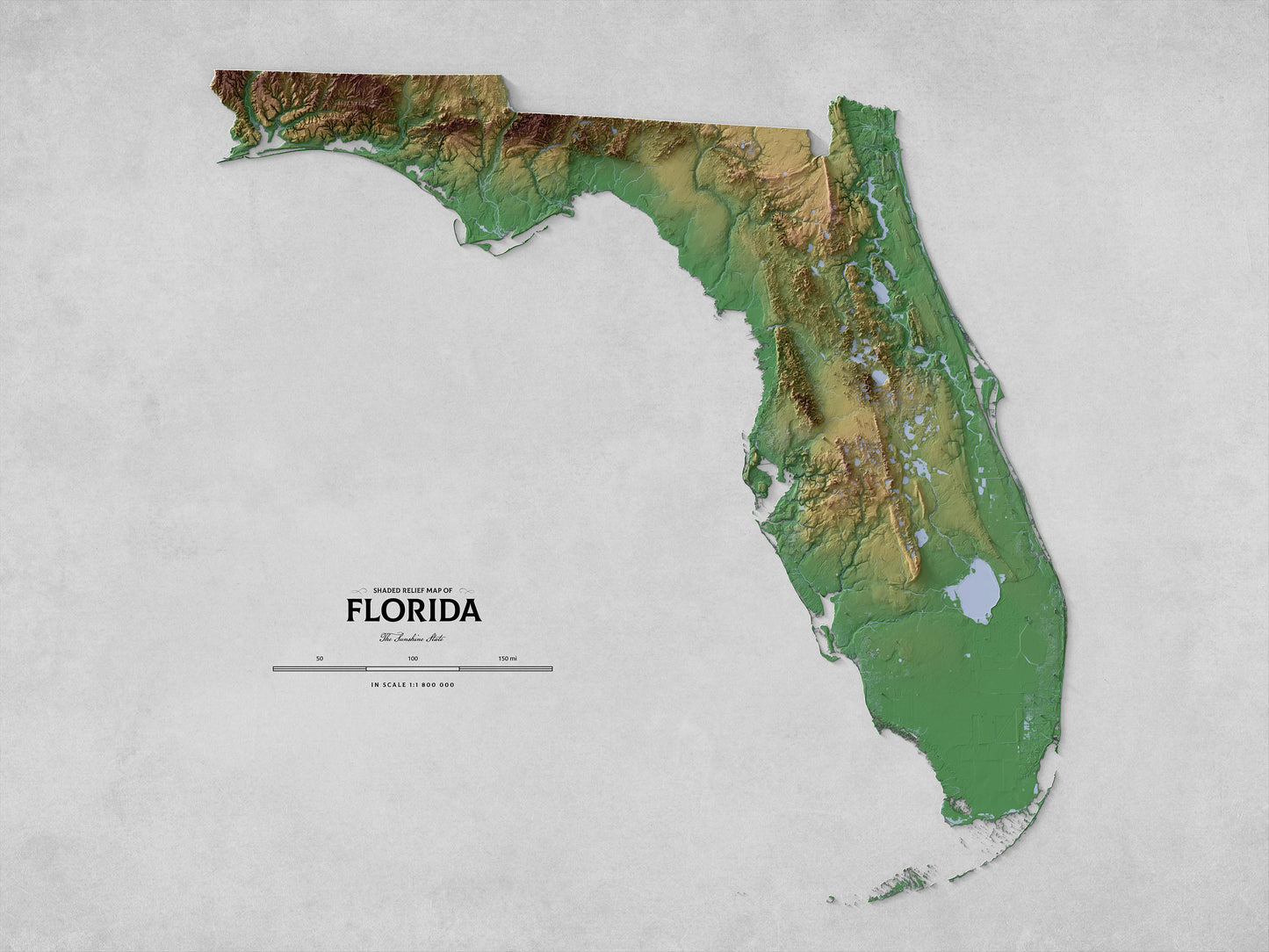 Florida - Shaded Relief Map (24x18")