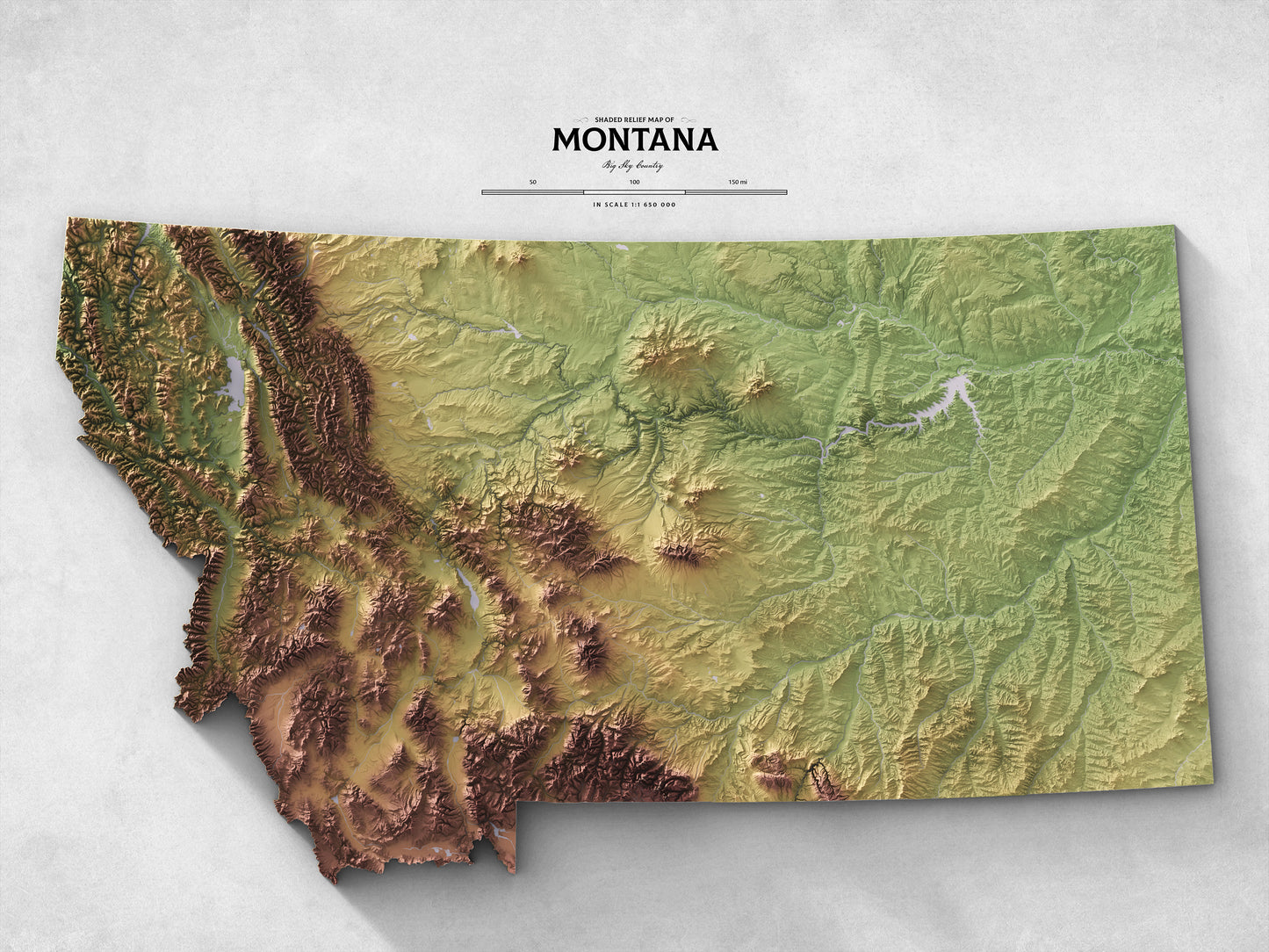 Montana - Shaded Relief Map (24x18")