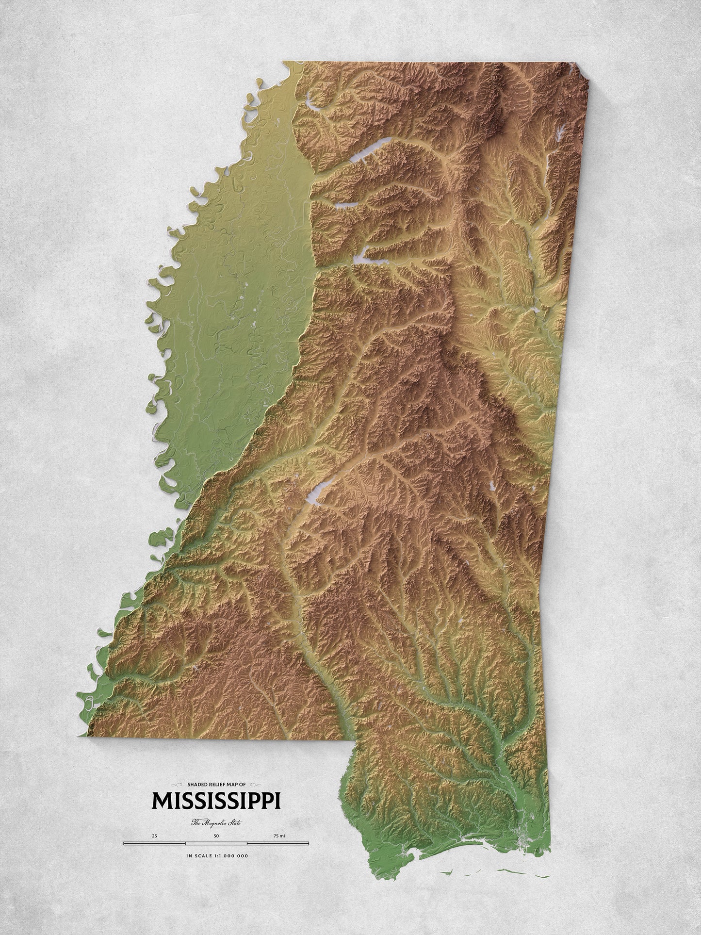 Mississippi - Shaded Relief Map (18x24")
