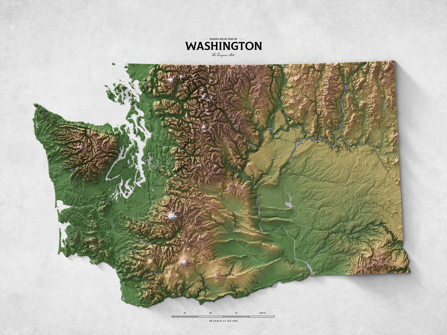 Washington - Shaded Relief Map (24x18")