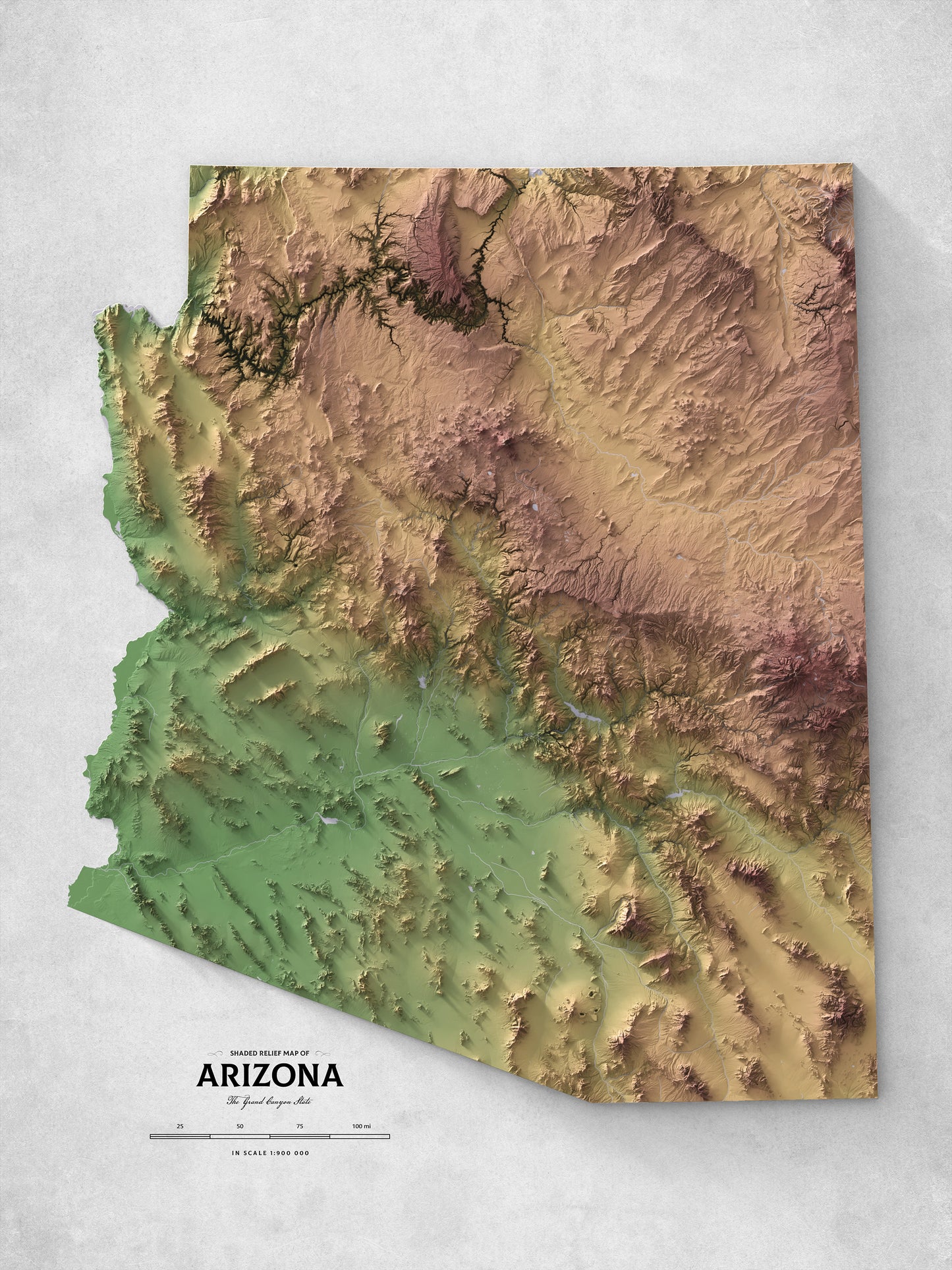 Arizona - Shaded Relief Map (18x24")
