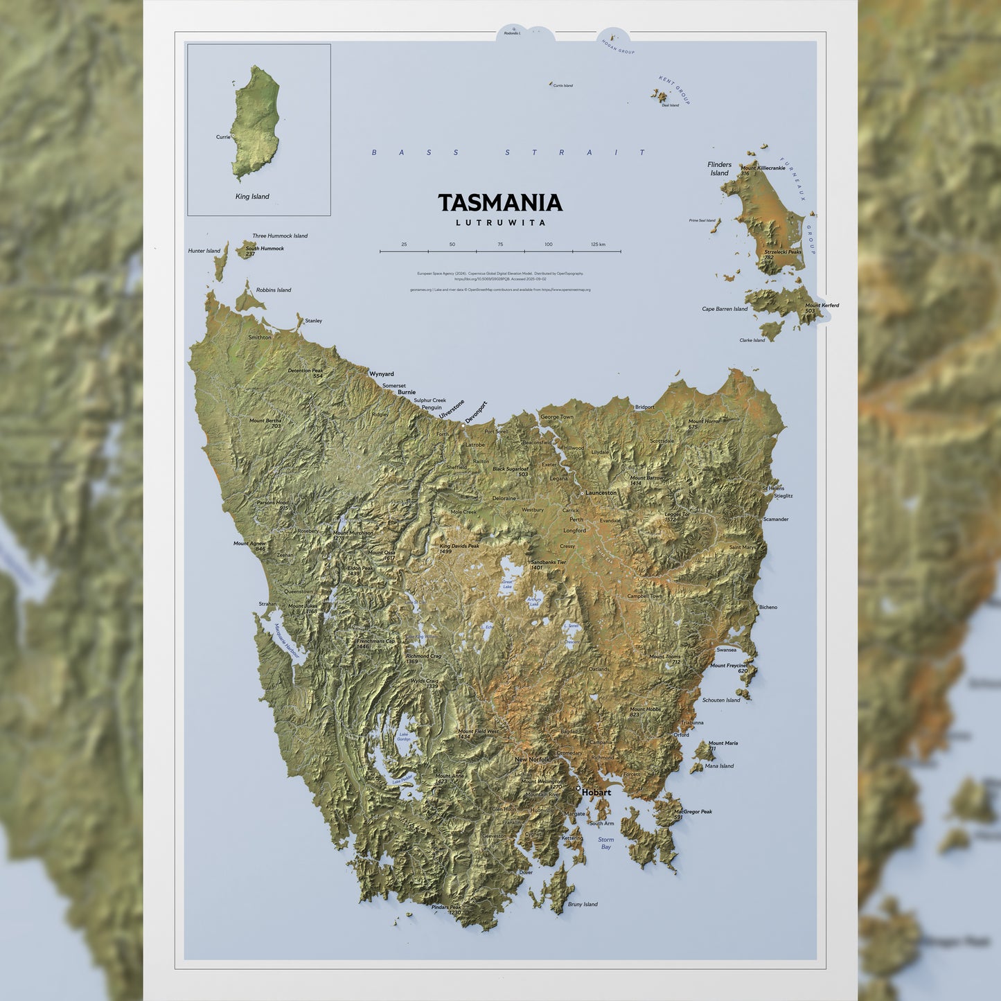 Shaded relief map of Tasmania (50x70 cm)