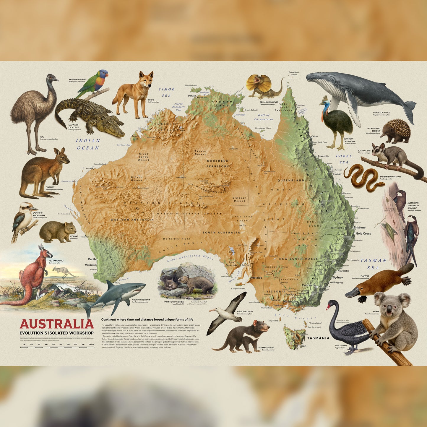 Australia — Shaded Relief Map with Native Wildlife (70×50 cm)