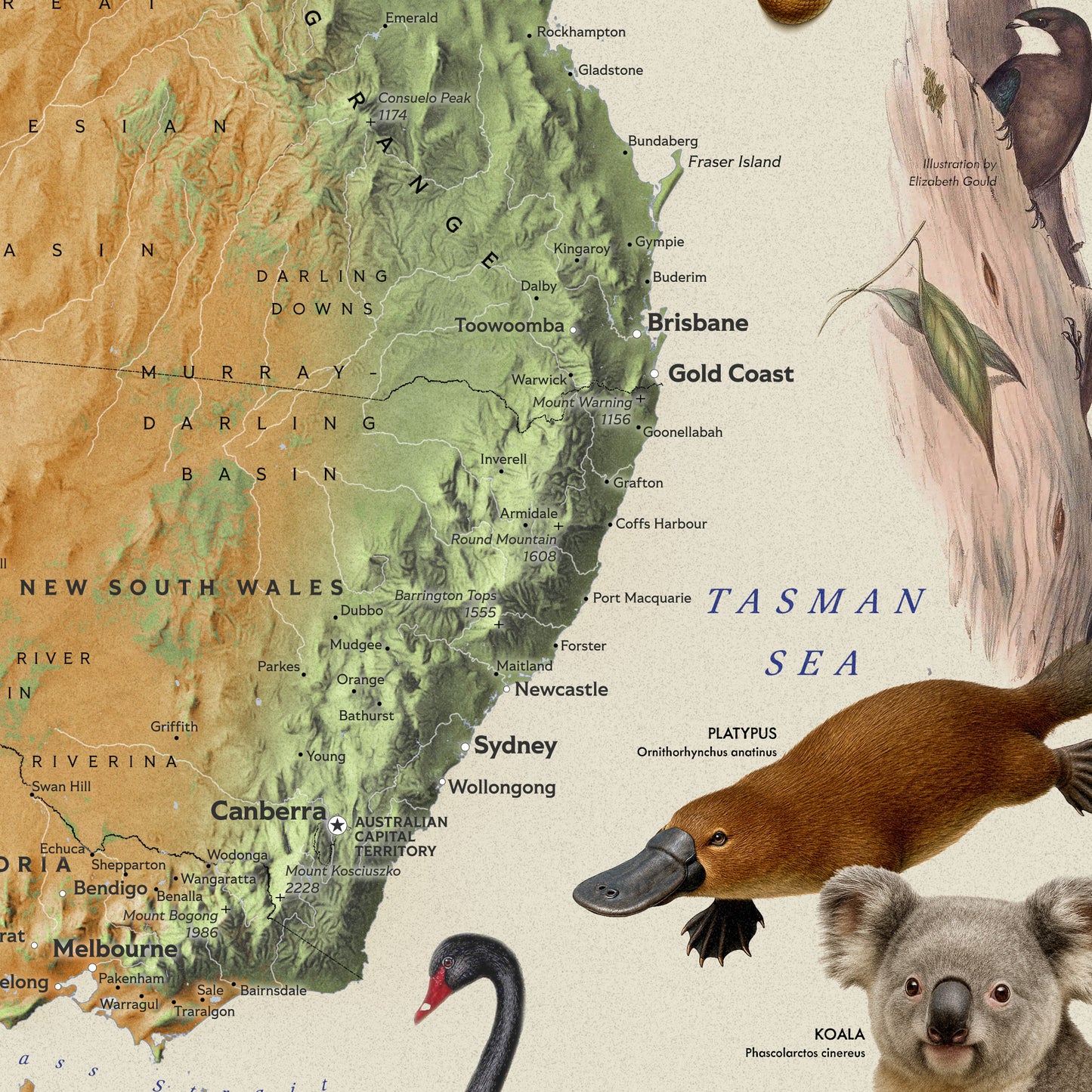 Australia — Shaded Relief Map with Native Wildlife (70×50 cm)